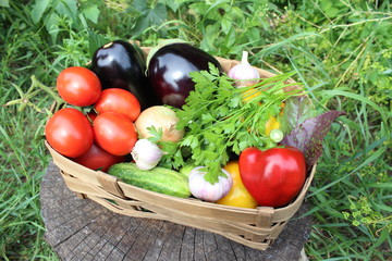 Basket with autumn vegetables. Tomatoes, eggplant, onions, cucumbers.
