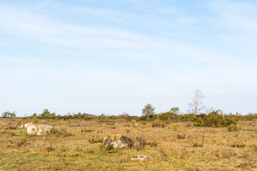 Naklejka na ściany i meble Great barren grassland Stora Alvaret in Sweden