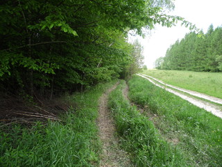 Obraz premium Country road in the countryside