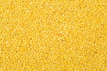 Millet yellow background