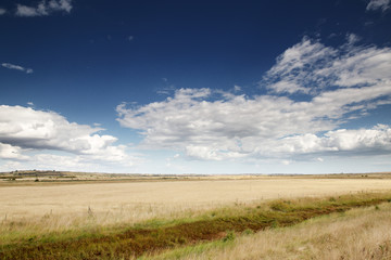 Obraz premium beautiful farmland in essex england