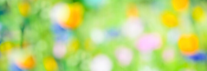 abstract colorful background with bokeh