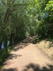 path in the woods