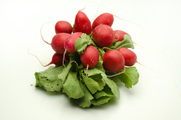 Manojo de rabanitos con sus hojas verdes sobre fondo blanco