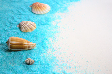 Muscheln in blauen Sand