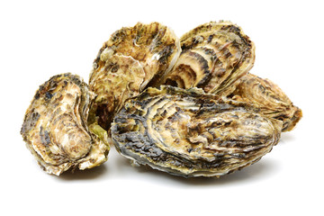 Fresh opened oyster on white background