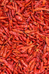 Dried chili. background