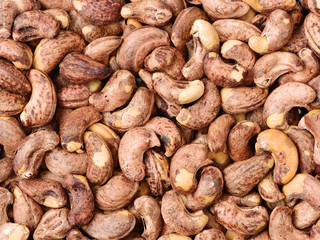 cashew nuts background 