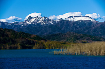 残雪している山の風景