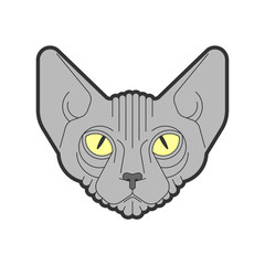 Sphynx cat face isolated. Pet head vector illustration