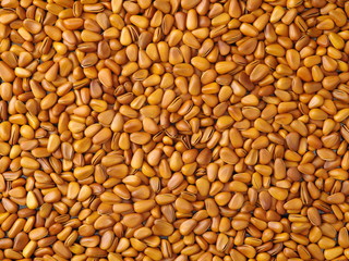 Pine nuts background