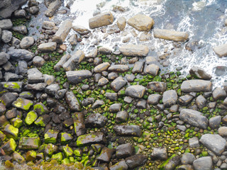 View from top of rocks with green moss on shoreline