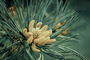 Botanischer Garten