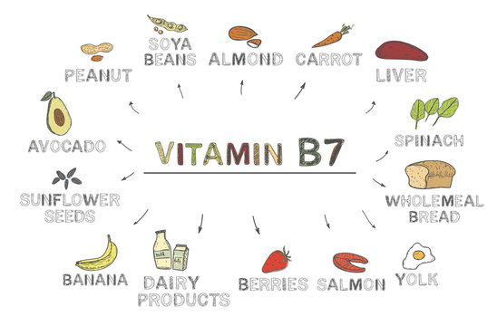 Vitamin B7 (Biotin). Foods Rich In B7, Natural Products, Fruits, Vegetables On White Background. Healthy Lifestyle Concept