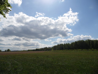 Clouds over the field