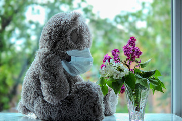 Toy bear in a protective medical mask with a bouquet of lilac is sitting on the window. Concept,...