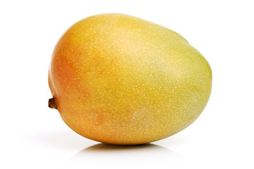 Mango on a white background