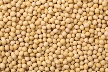 Soybean background