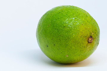 a green lime with water drops on white background