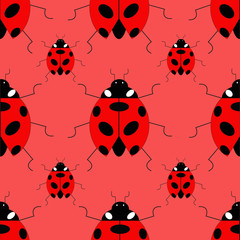 vector, seamless pattern with ladybirds / ladybird