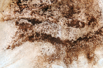 Texture with coffee Powder
