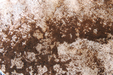 Texture with Coffee residue