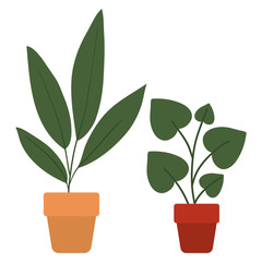 Isolated plants inside pots vector design