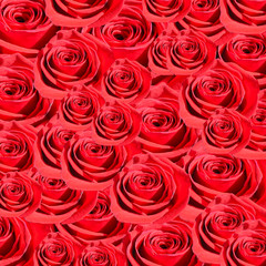 Red roses flowers pattern texture background for design.