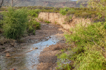 Stream in the Desert