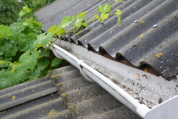 A plastic rain gutter on an asbestos rooftop is cleaned from fallen leaves, dirt and other debris...