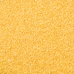 Yellow Millet background