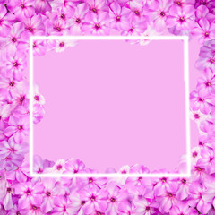 Pink flowers frame on the pink background.