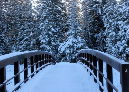 Bebo Grove Bridge