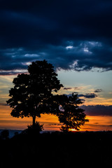 Beautiful red sunset  with clouds and tree in the french countryside - background