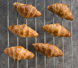 Freshly baked croissants in pastry.