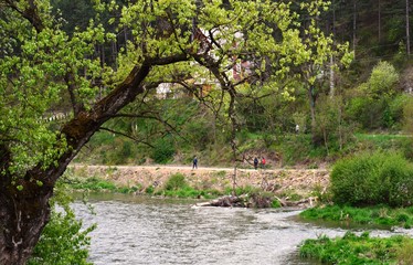 a promenade by the river in the spring