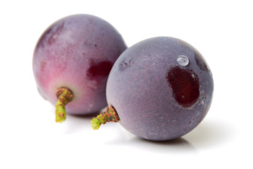 grape on white background 