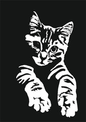 Fototapeta na wymiar vector illustration of a cat