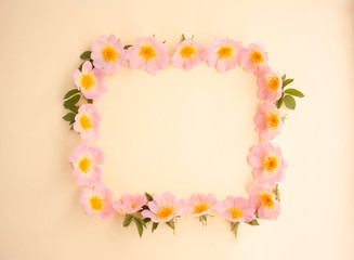 frame of rosehip flowers. beautiful floral arrangement of pink flowers on a yellow background.