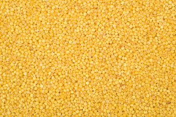 Yellow Millet background