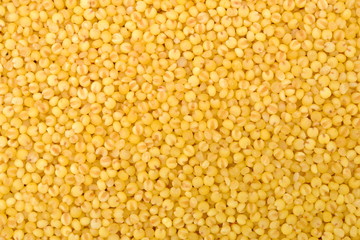 Yellow Millet background