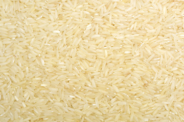 close up shot of the rice background