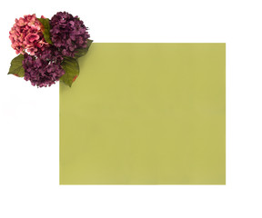 A Floral Border around a Customizable Colored Background Perfect for Cards and Invitations