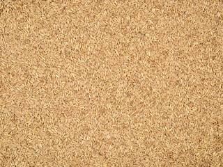 Raw oat grouts closeup texture
