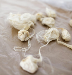 Obraz na płótnie Canvas Silkworm cocoon in silk threads.