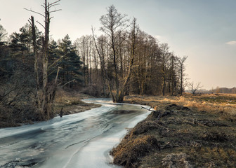 Kręta zamarznięta rzeczka, drzewa, zima.