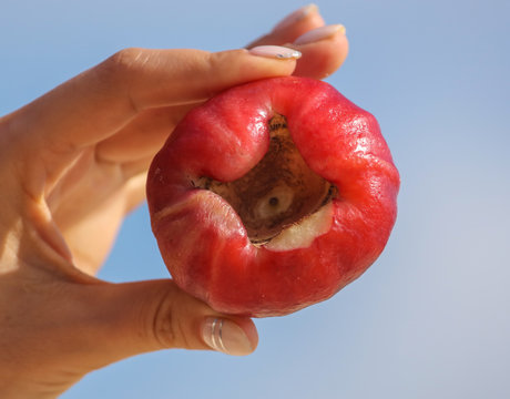 รูปภาพChompu – เลือกดูภาพถ่ายสต็อก เวกเตอร์ และวิดีโอ237 | Adobe Stock