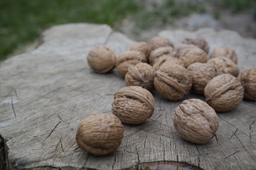 nutmeg on wooden background