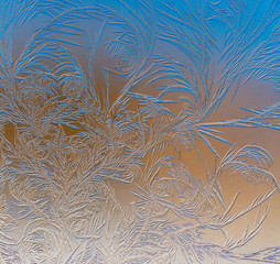 Natural pattern on glass at dawn of the sun.