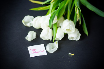 beautiful bouquet of white tulips on black background